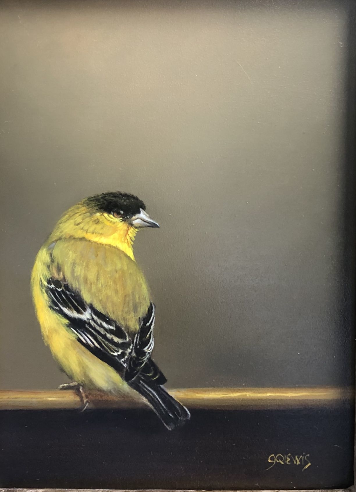 Montana Audubon Center fundraiser at Terakedis Gallery